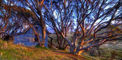 Cope Hut - VIC T (PBH3 00 34390)